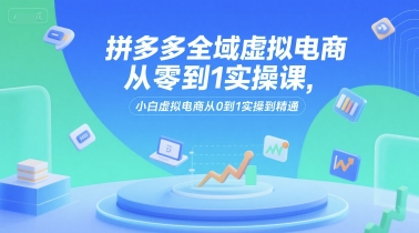 拼多多全域虚拟电商从零到1实操课，小白虚拟电商从0到1实操到精通-知芽创业社