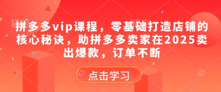 拼多多vip课程，零基础打造店铺的核心秘诀，助拼多多卖家在2025卖出爆款，订单不断-知芽创业社