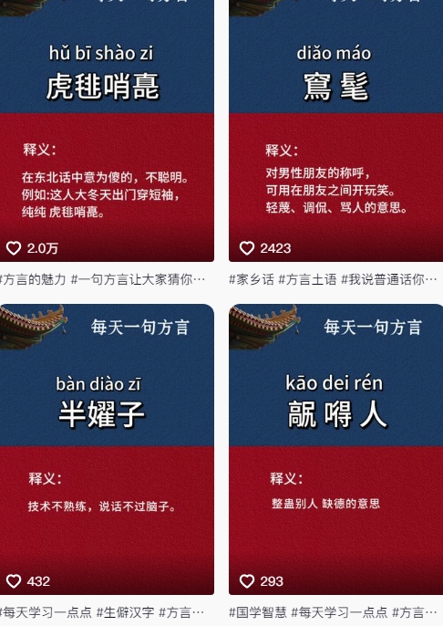 抖音最新涨粉玩法，图文方言暴力涨粉实操，126作品涨粉11W-知芽创业社