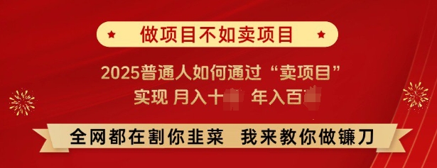 必看，做项目不如卖项目，2025普通人如何通过“卖项目”实现月入十个，年入百个-知芽创业社