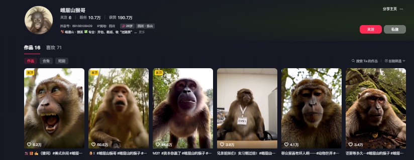 最新爆火的峨眉山猴子短视频制作教程，条条点赞10w+，谁做谁火【教程+提示词】-知芽创业社