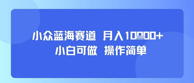 小众蓝海赛道，小白可做，操作简单，每天30分钟，月入1W+-知芽创业社