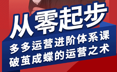 海神·拼多多运营进阶系统课(更新8月)-知芽创业社