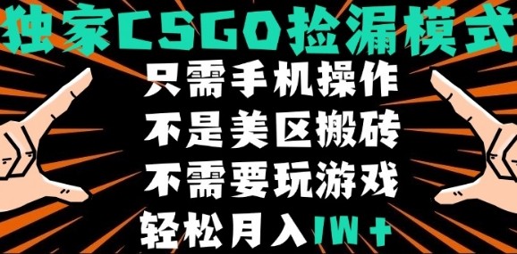 CSGO自动捡漏项目，最新独家玩法，不是美区搬砖，不需要了解和玩游戏，新手小白轻松月入1W+【揭秘】-知芽创业社