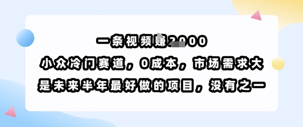 一条视频挣1k，小众冷门赛道，0成本，市场需求大，是未来半年最好做的项目，没有之一-知芽创业社