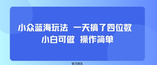 小众蓝海玩法 一天搞了四位数 小白可做 操作简单-知芽创业社