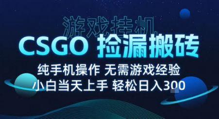 8月最新游戏搬砖，CSGO纯挂G，不需要玩游戏，实现真挂G，月入1W+【揭秘】-知芽创业社