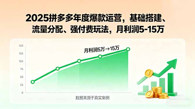 2025拼多多年度爆款运营，基础搭建、流量分配、强付费玩法，月利润5-15万-知芽创业社