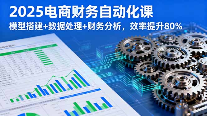 2025电商财务自动化课，模型搭建+数据处理+财务分析，效率提升80%-知芽创业社