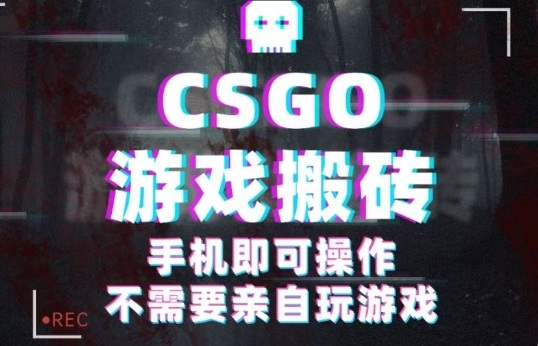 CSGO游戏挂G捡漏，单日扫货5张+，年底小高峰上车可吃肉，手机即可操作，兼职副业创业网创【揭秘】-知芽创业社