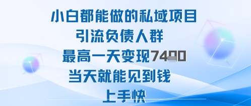 2025年小白都能做的私域项目引流负债人群最高一天变现1k+高变现难度低当天就能见到钱上手快-知芽创业社