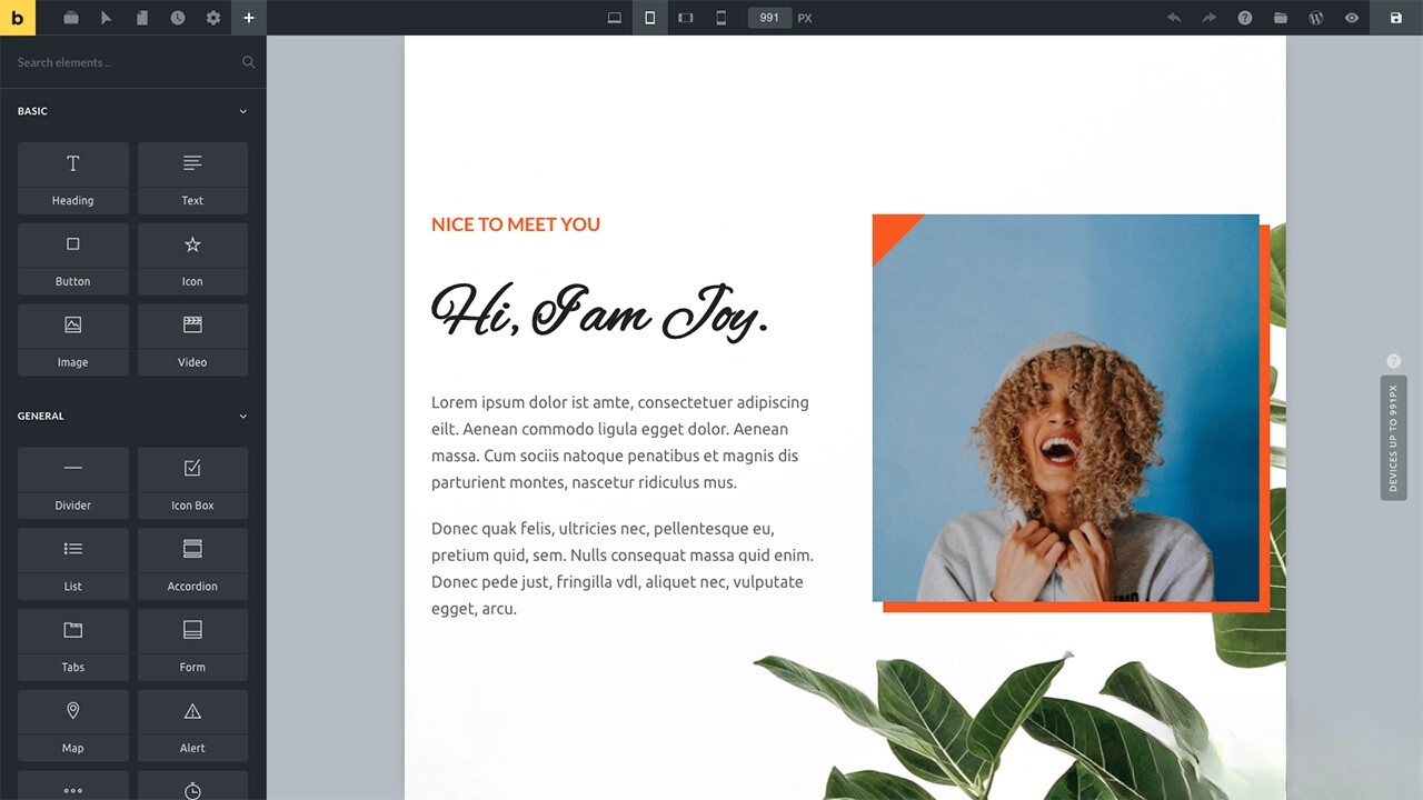 WordPress主题Bricks v1.9 破解版-知芽创业社