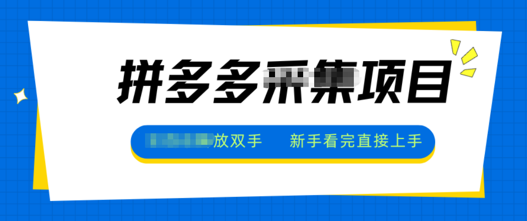 拼多多电商采集，一小时50+，操作简单，零投资-小艾项目网
