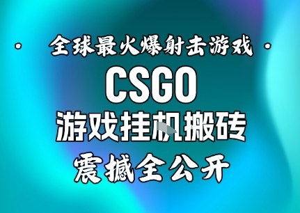 【年底大揭秘】基于全球最火爆的射击CSGO游戏挂G搬砖，日入5张+，震撼公开-小艾项目网