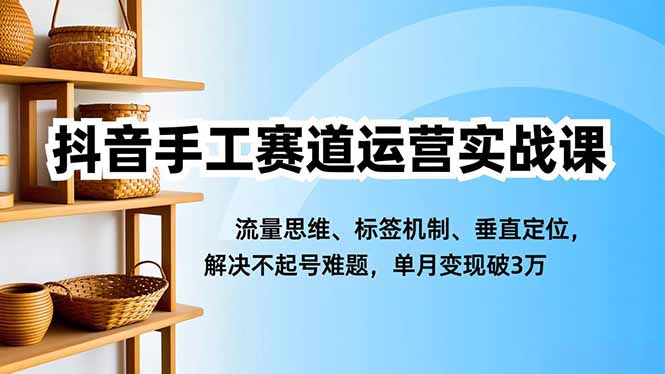 抖音手工赛道运营实战课，流量思维、标签机制、垂直定位，解决不起号难题，单月变现破3万-知芽创业社