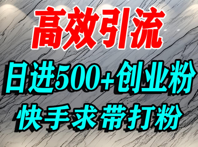 怎么打创业粉？快手求带视角精准引流创业粉，宝妈、学生群体日进500+精准流量-知芽创业社