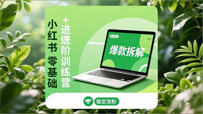 小红书零基础+高阶训练营：安全养号、爆款拆解、长效运营，实现稳定涨粉与变现-知芽创业社