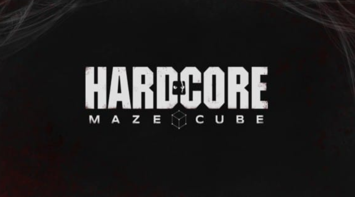 《硬核方块迷宫 Hardcore Maze Cube》Switch英文版NSZ下载 – 含1.0.2补丁-知芽创业社