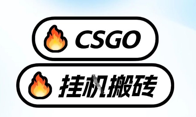 真全网独家CSGO挂G，最新玩法,单日捡漏1K+，不用电脑，不用打游戏【揭秘】-小艾项目网