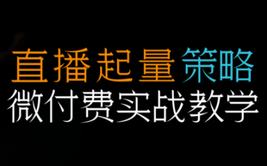 半野老师·直播带货起量与微付费必学课视频号(更新2026)-知芽创业社