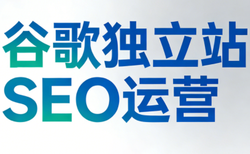 谷歌独立站SEO运营(更新2026)-知芽创业社