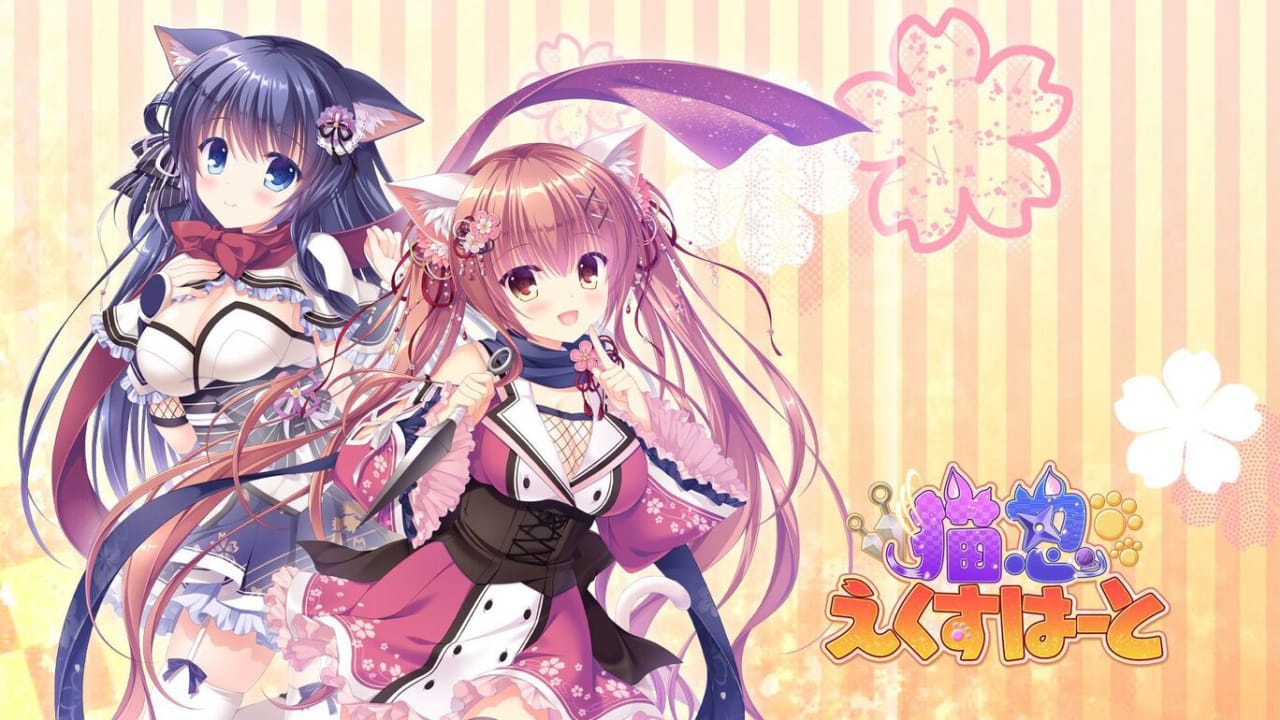 猫忍之心丨Neko-Nin ExHeart-知芽创业社