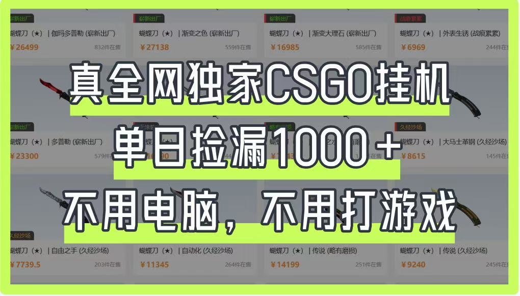 真全网独家CSGO挂机，单日捡漏1000+，不用电脑，不用养号-知芽创业社