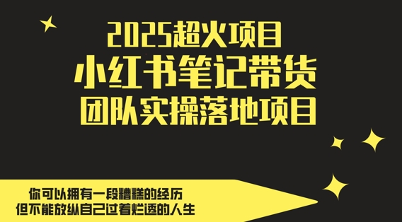 2025超火项目，副业最佳选择，小红书笔记带货团队实操落地项目，，轻松日入5张-小艾项目网