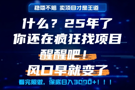 什么？25年你还在疯狂找项目做，醒醒吧，看完这些你全都懂了！【揭秘】-知芽创业社