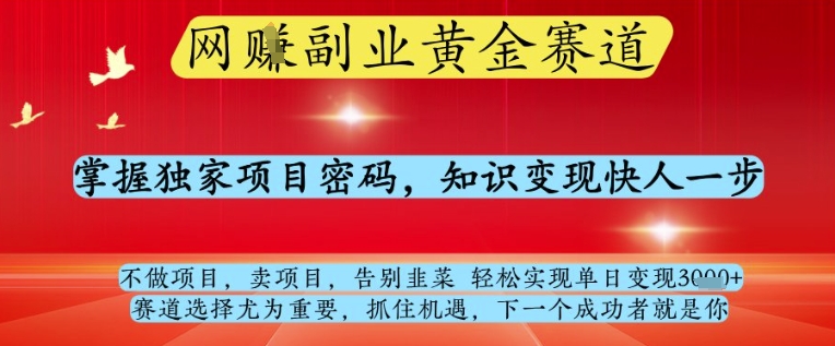 网创副业黄全赛道，掌握独家项目密码，知识变现快人一步，告别韭菜轻松实现单日变现1k+【揭秘】-知芽创业社