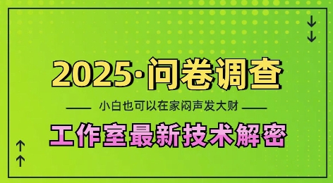 2025问卷调查最新工作室技术解密：一个人在家也可以闷声发大财，小白一天2张，可矩阵放大【揭秘】-小艾项目网