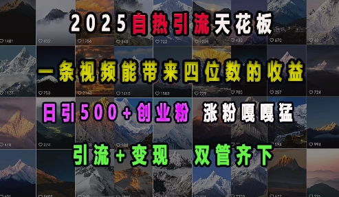 2025自热引流天花板，一条视频能带来四位数的收益，引流+变现双管齐下，日引500+创业粉，涨粉嘎嘎猛-知芽创业社