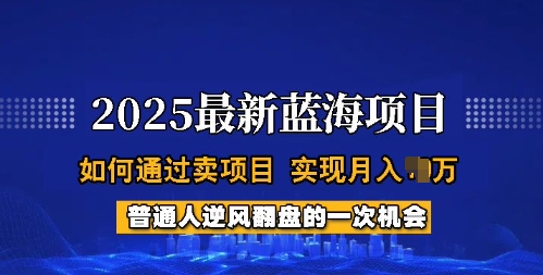 2025蓝海项目，普通人如何通过卖项目，实现月入过W，全过程【揭秘】-小艾项目网