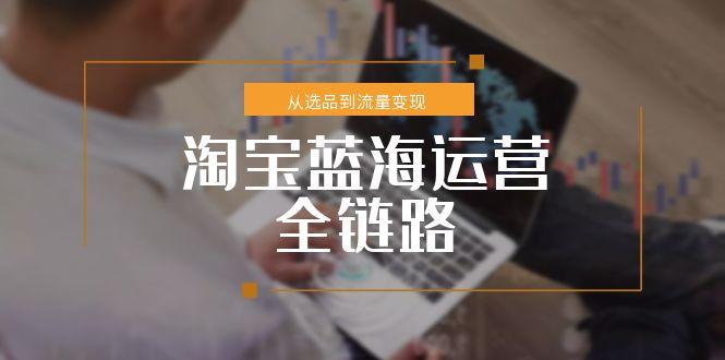 淘宝蓝海运营全链路，从选品到流量变现，小类目突围完整方案-知芽创业社