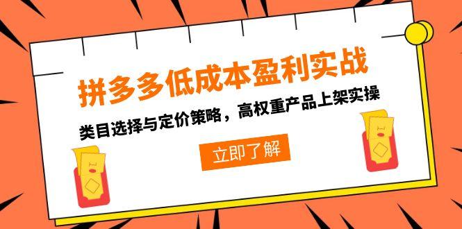 拼多多低成本盈利实战，类目选择与定价策略，高权重产品上架实操-知芽创业社