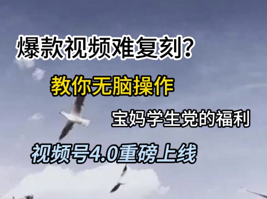 视频号4.0重磅上线，爆款视频难复刻？教你无脑操作宝妈学生党的福利【揭秘】-知芽创业社