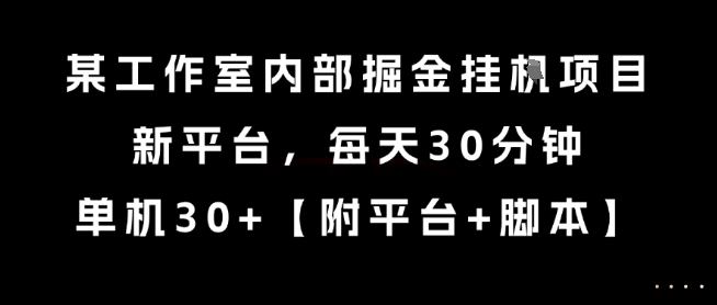 某工作室内部掘金挂G项目，新平台，每天30分钟，单机30+【揭秘】-知芽创业社