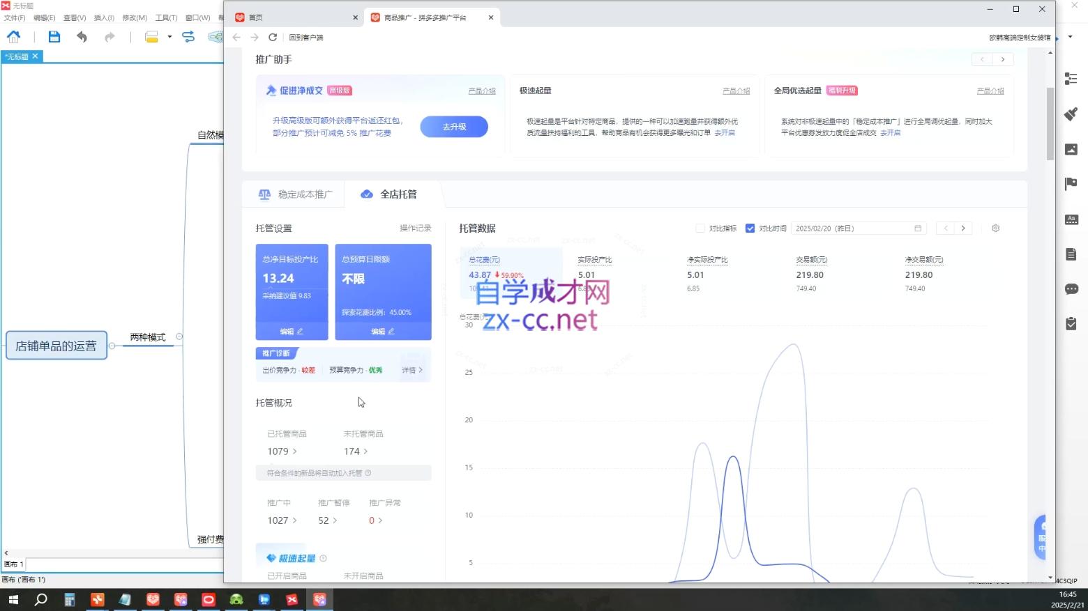 齐论拼多多vip课程-知芽创业社