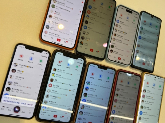 首发揭秘小红书私域日引500+创业粉四大模板，月入过W+全程干货!没有废话!保姆教程!-知芽创业社