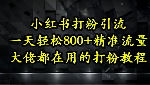 小红书打粉引流，一天轻松500+精准流量，大佬都在用的打粉教程-知芽创业社