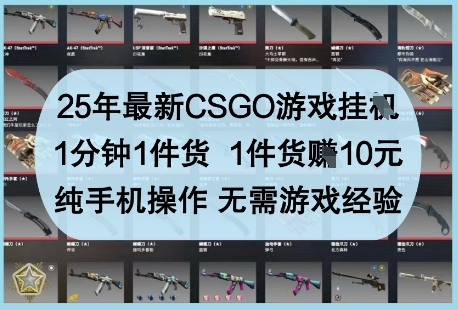 25年最新CSGO游戏挂G，1分钟1件货，1件货挣10元，纯手机操作，无需游戏经验【揭秘】-知芽创业社