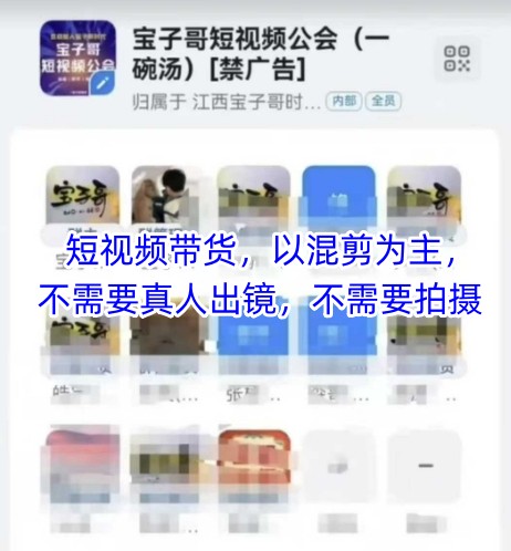 宝子哥头部团队短视频带货，以混剪为主，不需要真人出镜，不需要拍摄【更新6月】-知芽创业社