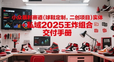 小众暴利赛道(球鞋定制，二创项目)实体+私域2025王炸组合  交付手册-知芽创业社