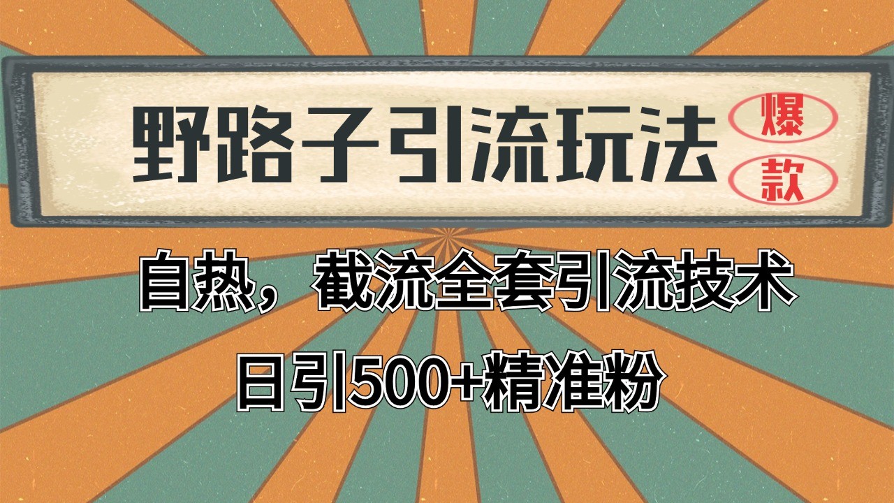 2024首发野路子引流玩法截流自热全平台打法，全自动引流【日引2000+精准客户】-知芽创业社