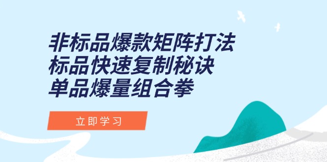 非标品爆款矩阵打法，标品快速复制秘诀，单品爆量组合拳-知芽创业社