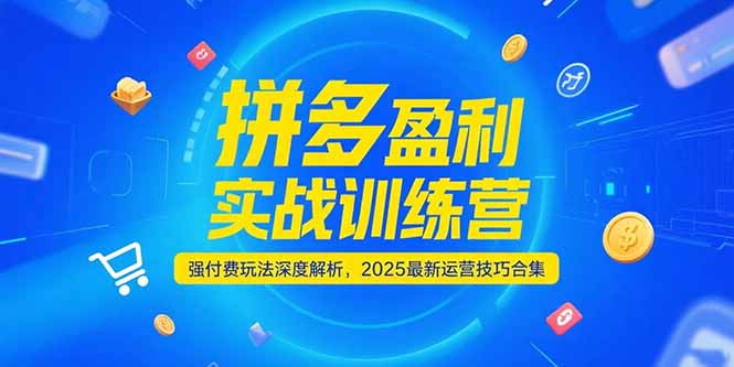 拼多多盈利实战训练营，强付费玩法深度解析，2025运营技巧合集-更新6月-知芽创业社