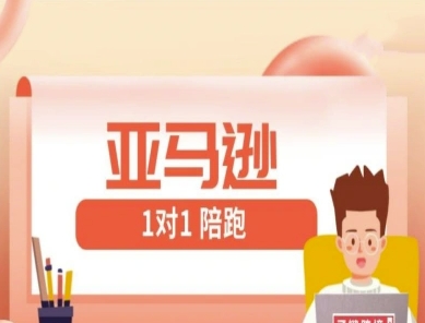 亚马逊1对1陪跑课(FBA/FBM精铺)跨境亚马逊教程-知芽创业社