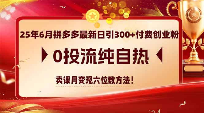 25年6月拼多多最新日引300+付费创业粉，0投流纯自热 卖课月变现六位数方法-知芽创业社
