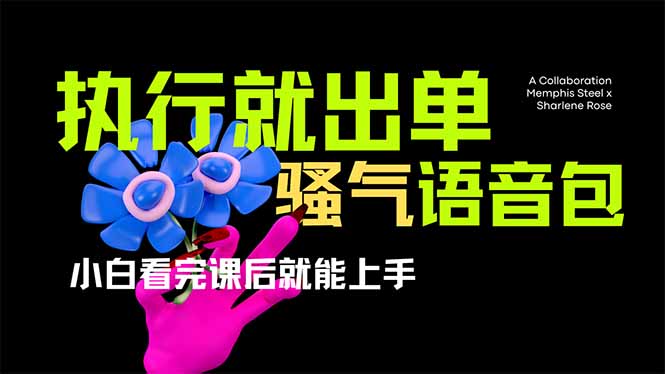 爆火全网的开车导航骚气语音包,只要执行就出单，小白看完课程就能实操…-知芽创业社