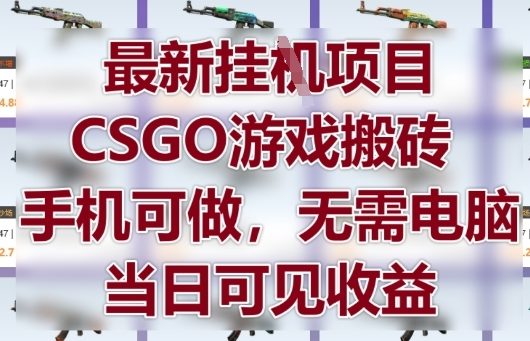 最新挂G项目，CSGO游戏搬砖，手机可做，无需电脑，当日见收益【揭秘】-知芽创业社